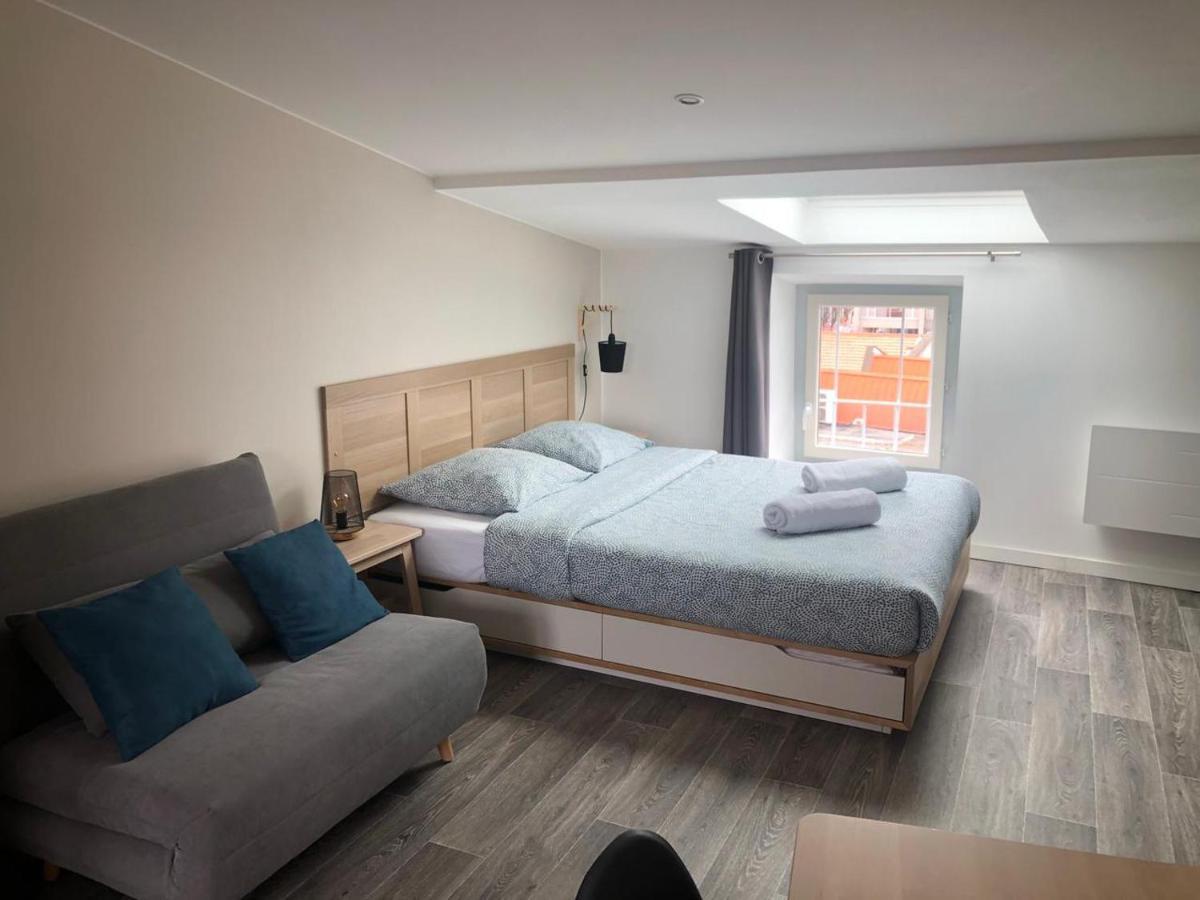 Jolis Appartements Au Coeur De Clermont Ferrand - Proche Jaude - Wifi Et Netflix エクステリア 写真